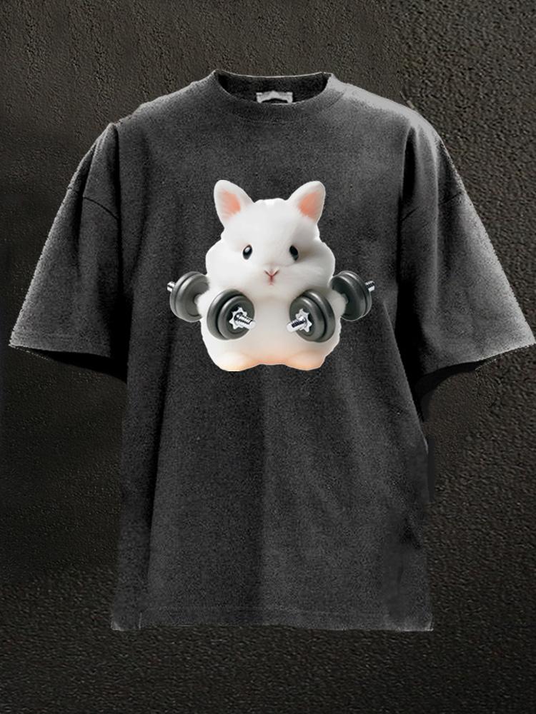 Gym Rabbit Washed Gym Shirt