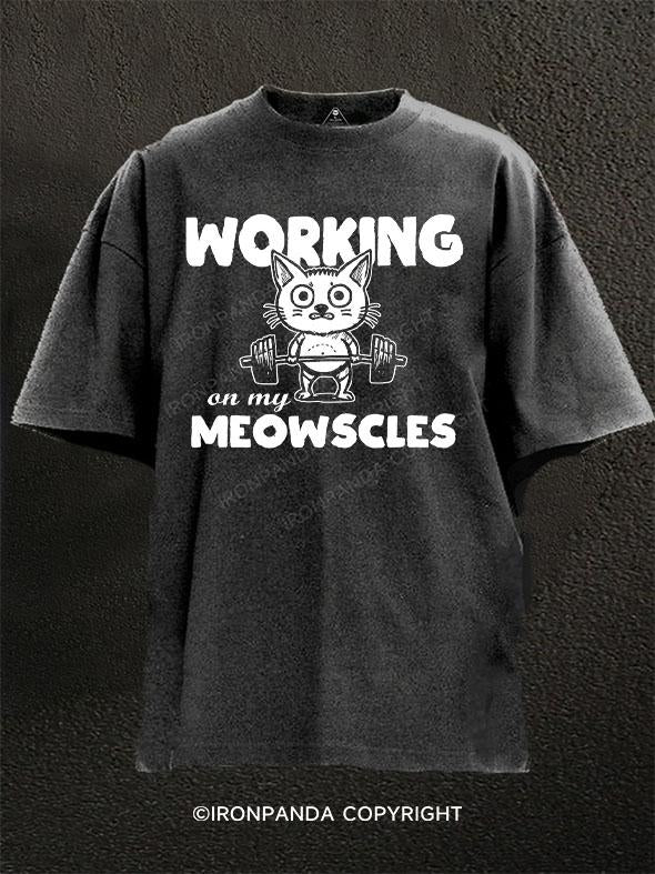 Working on My Meowscles Washed Gym Shirt