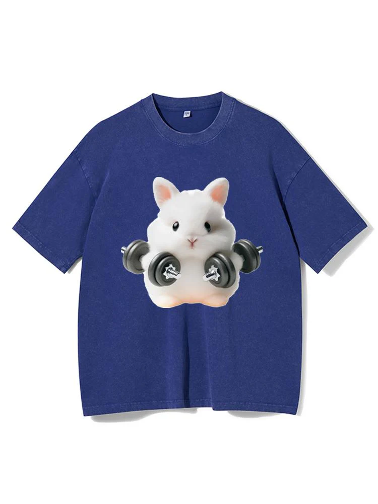 Gym Rabbit Washed Gym Shirt